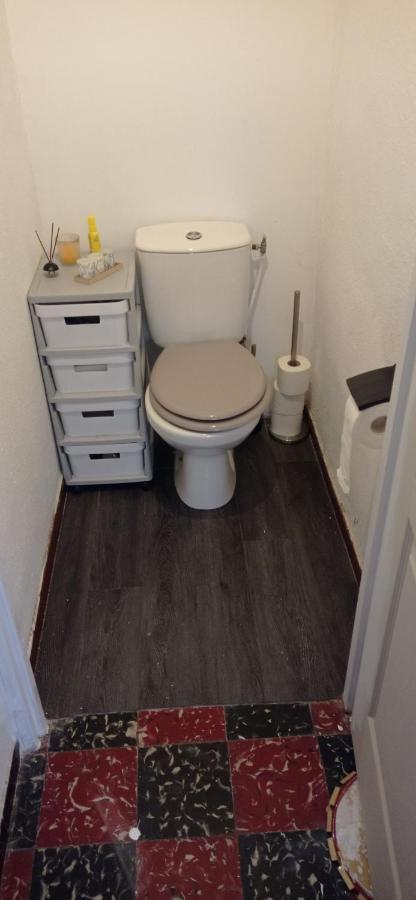 Appart Independant, 1 Lit Deux Personnes Et 1 Appoint Piscine Jardin Direct Gare Aeroport Et Jardin Toulouse Exterior photo